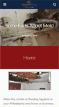 Mobile Screenshot of fastprorestoration.com